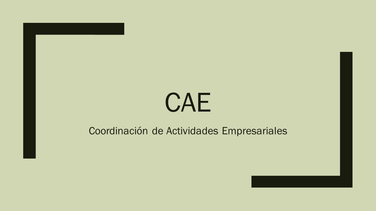 CAE Coordinación de Actividades Empresariales